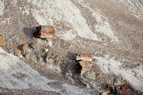 Petrified Logs at Blue Mesa in the Petrified Forest